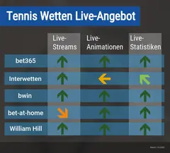 Tenniswetten Anbieter Vergleich – Unsere Top-3
