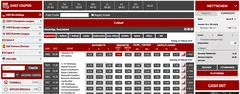 BetRebels Erfahrungen und Test 2026