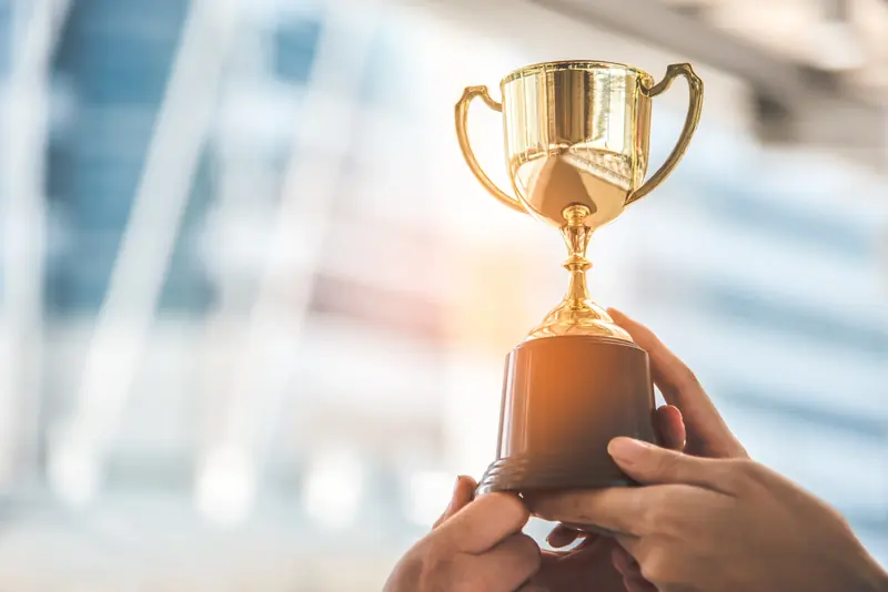 Winner Erfahrungen