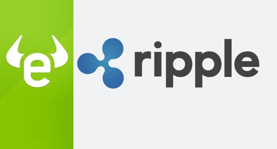 Bester Ripple Broker